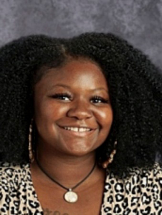 Fleming Montessori Public School of Arlington