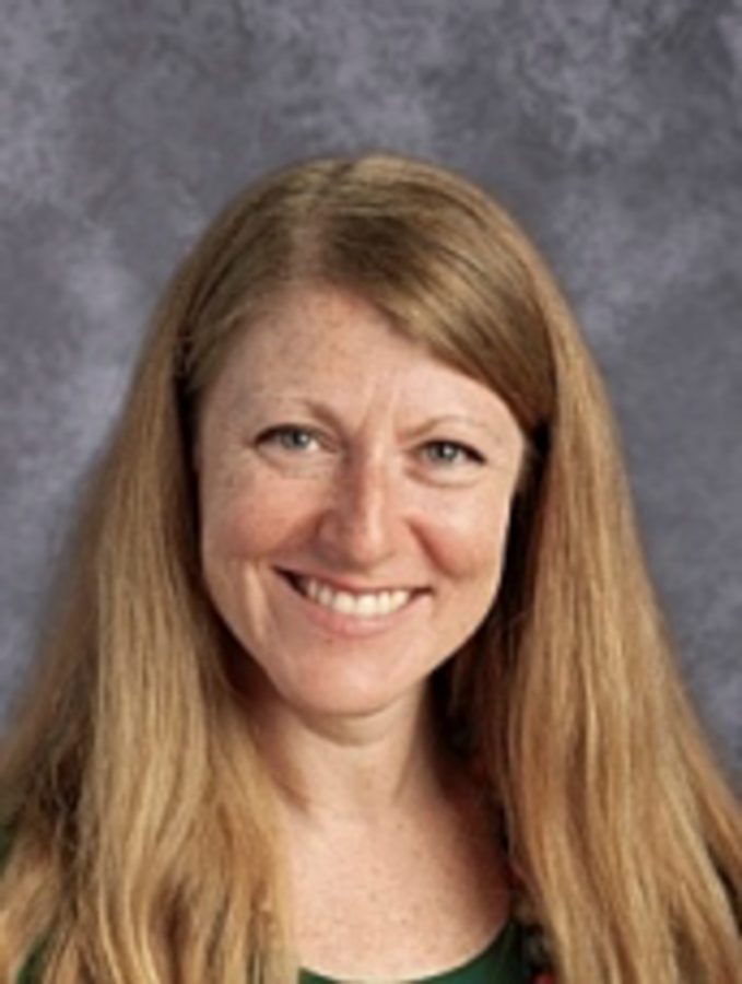 Stein Montessori Public School of Arlington